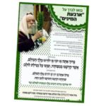 פלקט מהודר ברכות הלולב