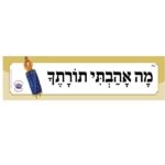כותרות לגן - אהבתי תורתיך