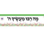 כותרות לגן -מעשיך ה'